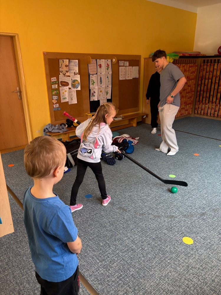 Téma povolání-porodní asistentka, hokejista, hudebníci 