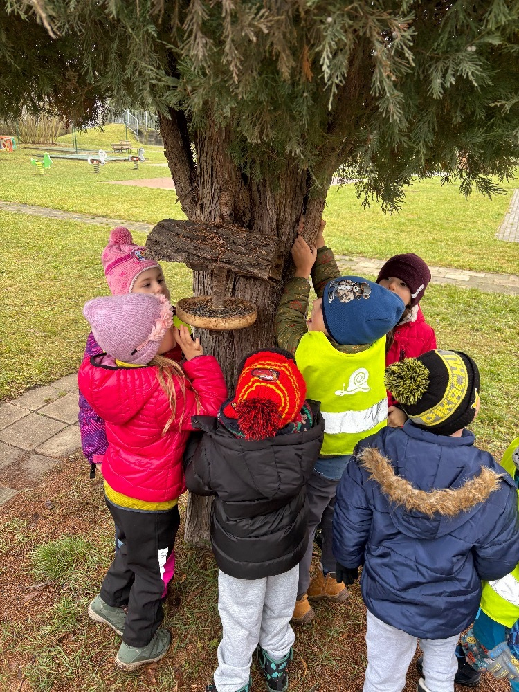 Dovádění na zahradě