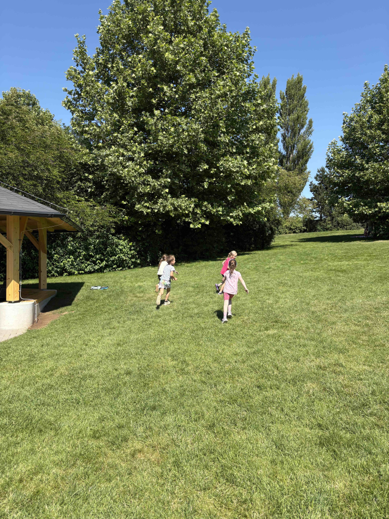 Aktivity park