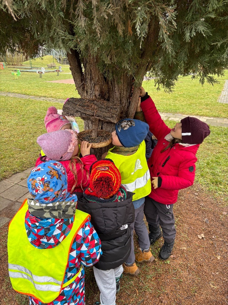 Dovádění na zahradě