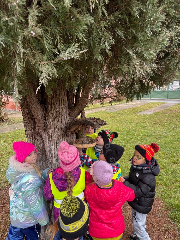 Dovádění na zahradě