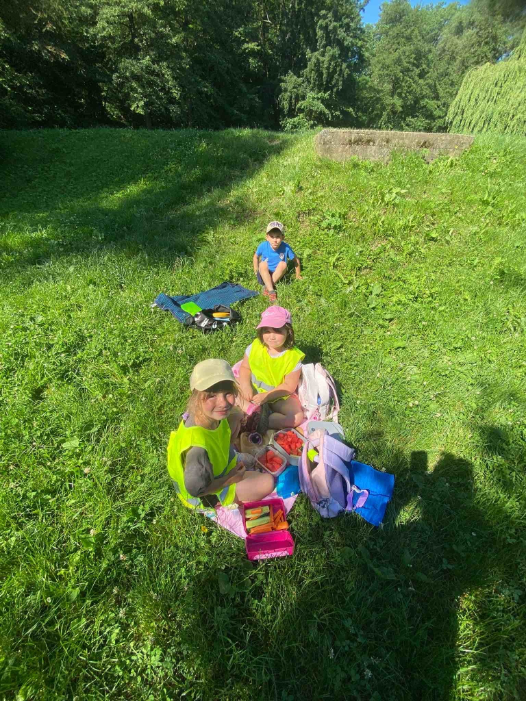 Piknik
