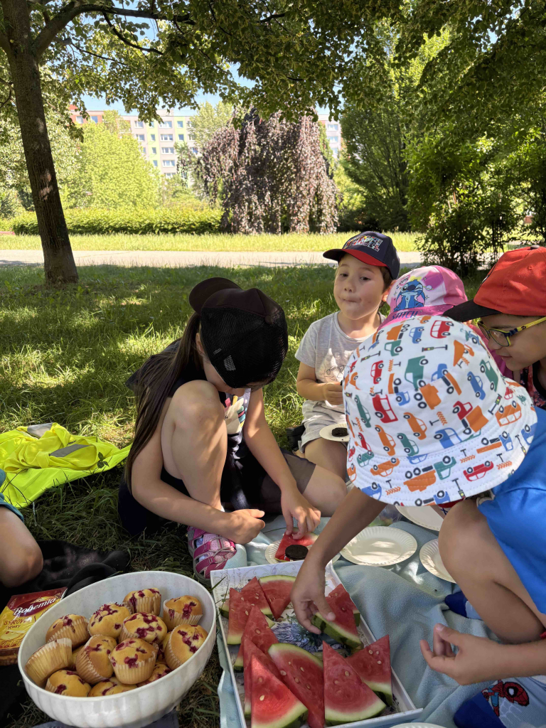 Piknik