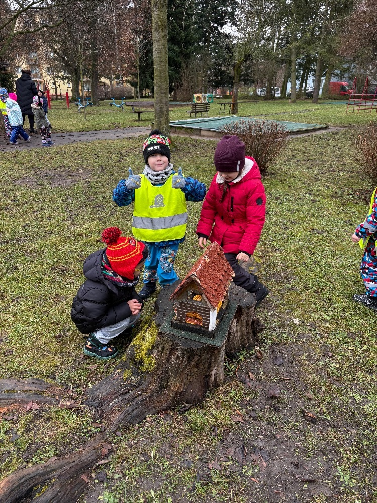 Dovádění na zahradě