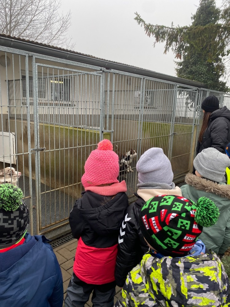 Dárečky pro útulek