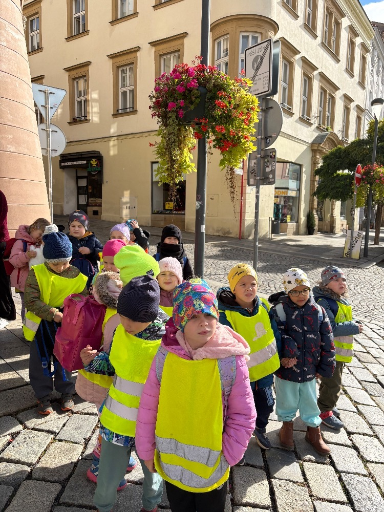 S kočičkou Olou po Olomouci