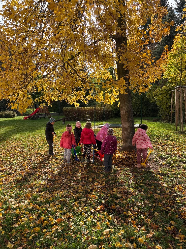 Dovádění na zahradě