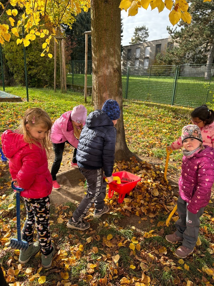 Dovádění na zahradě