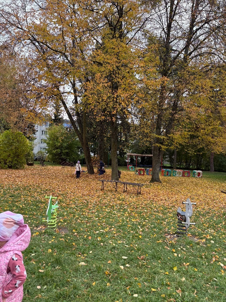 Dovádění na zahradě