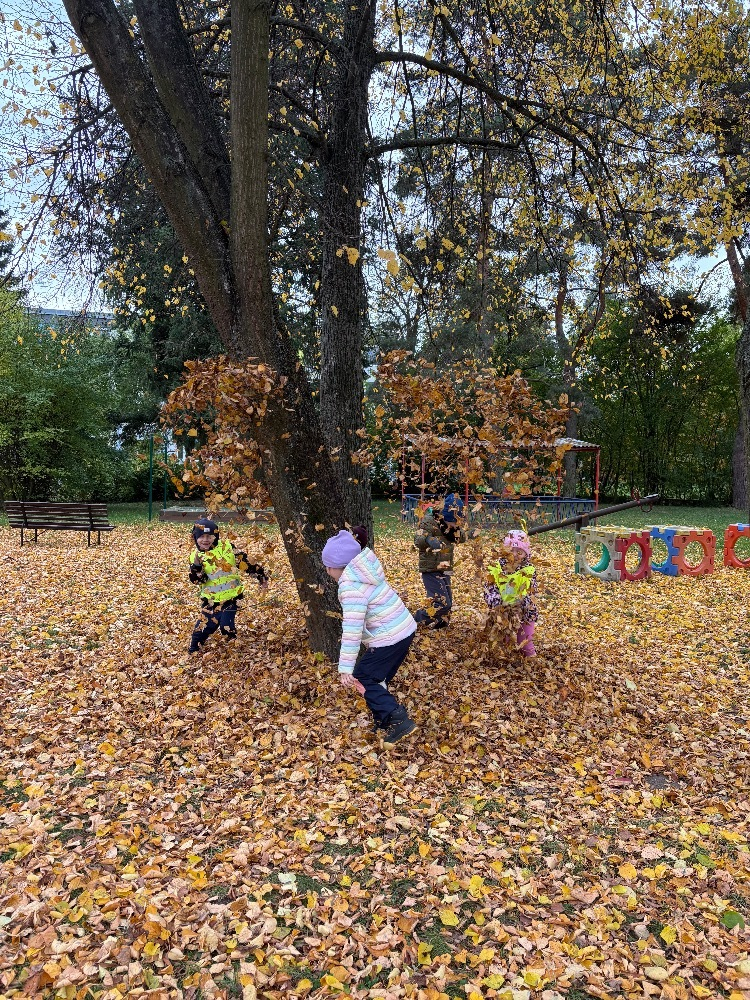 Dovádění na zahradě