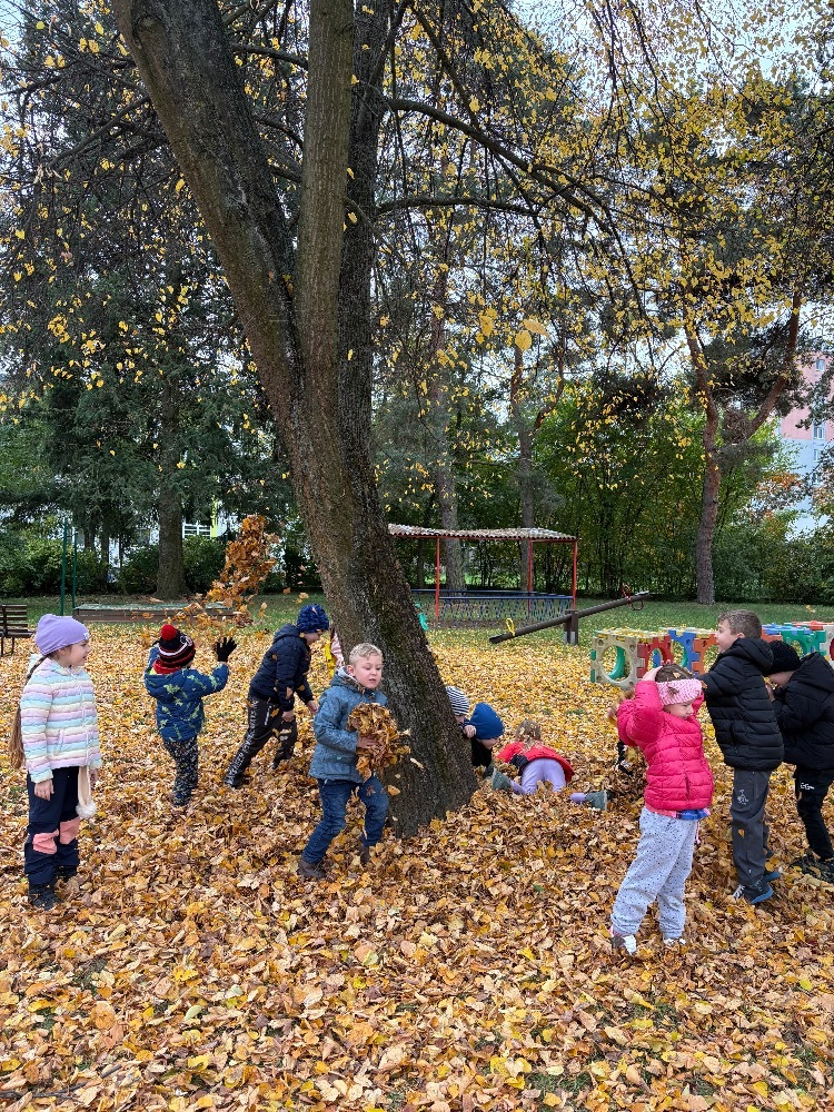 Dovádění na zahradě