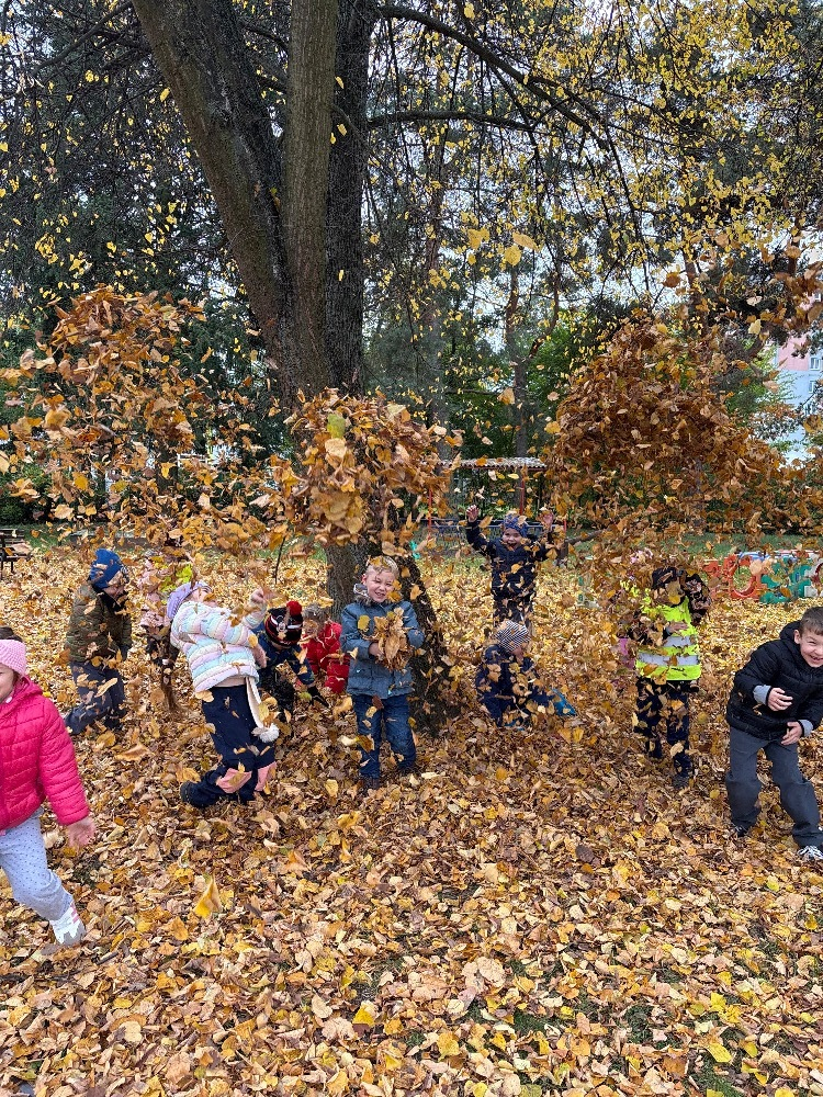 Dovádění na zahradě