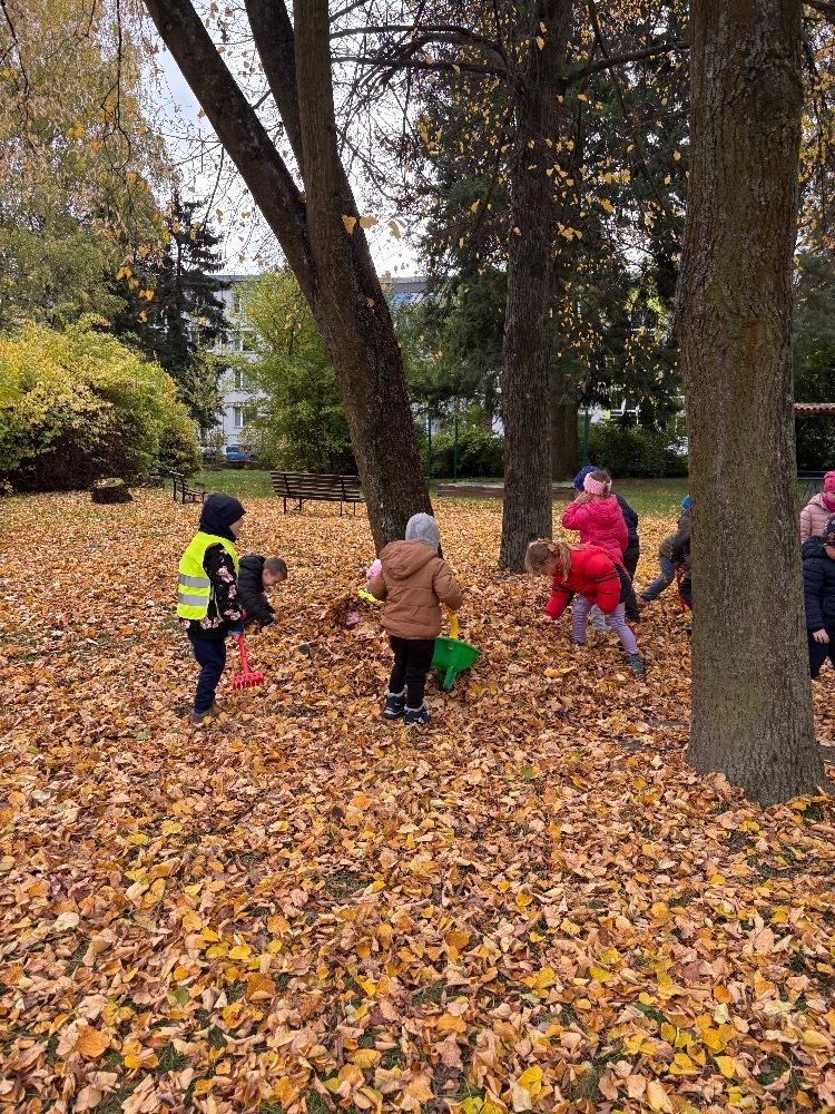 Dovádění na zahradě