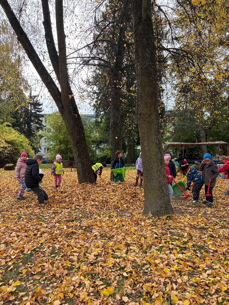 Dovádění na zahradě