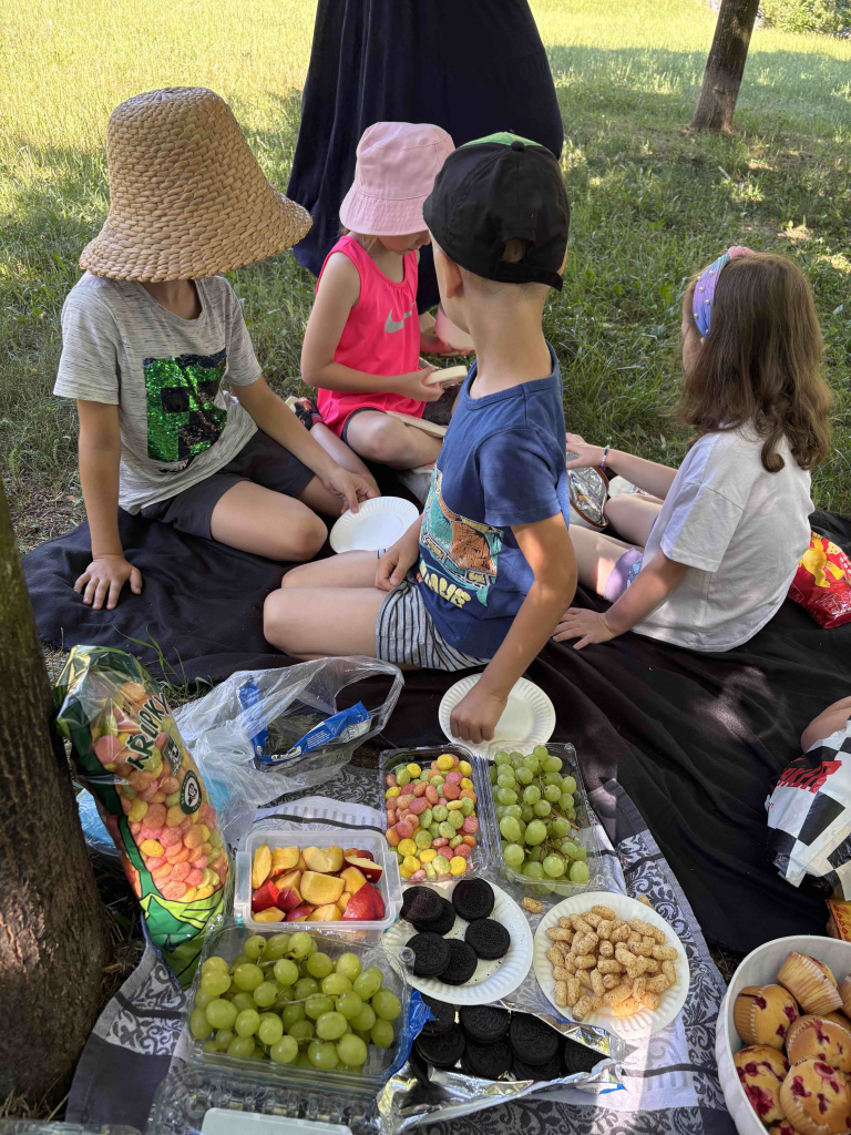 Piknik