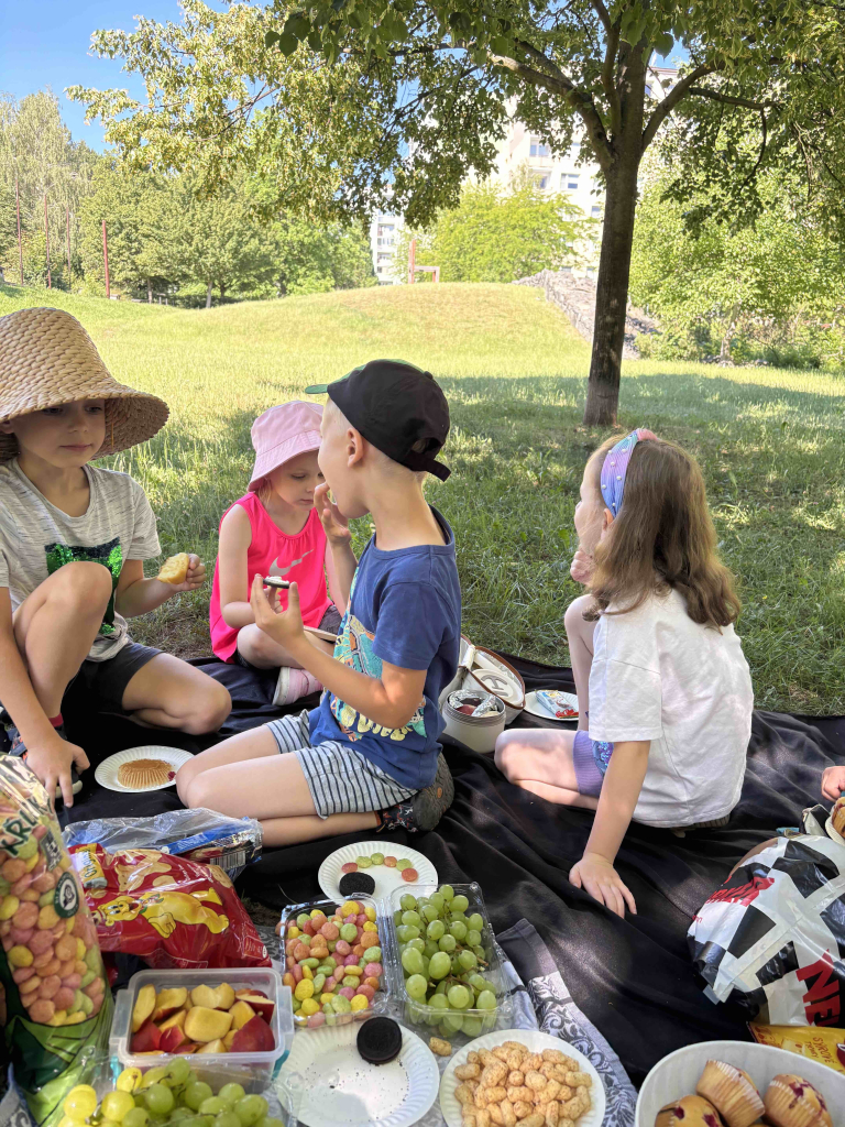 Piknik