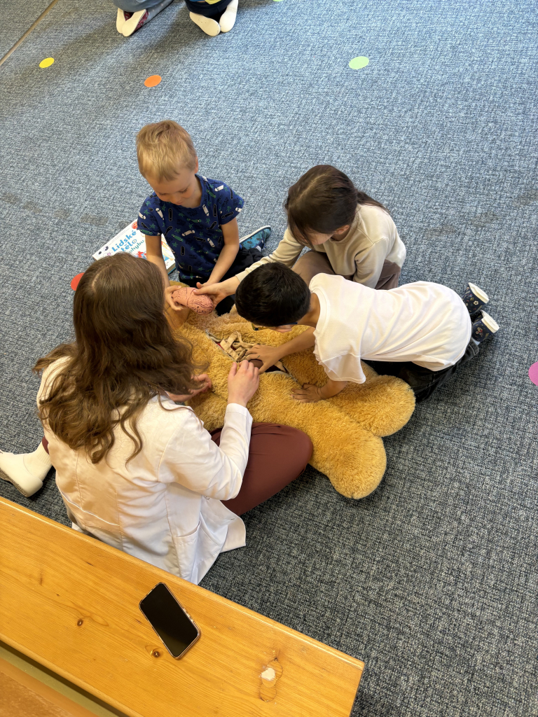 Nemocnice pro medvídky 