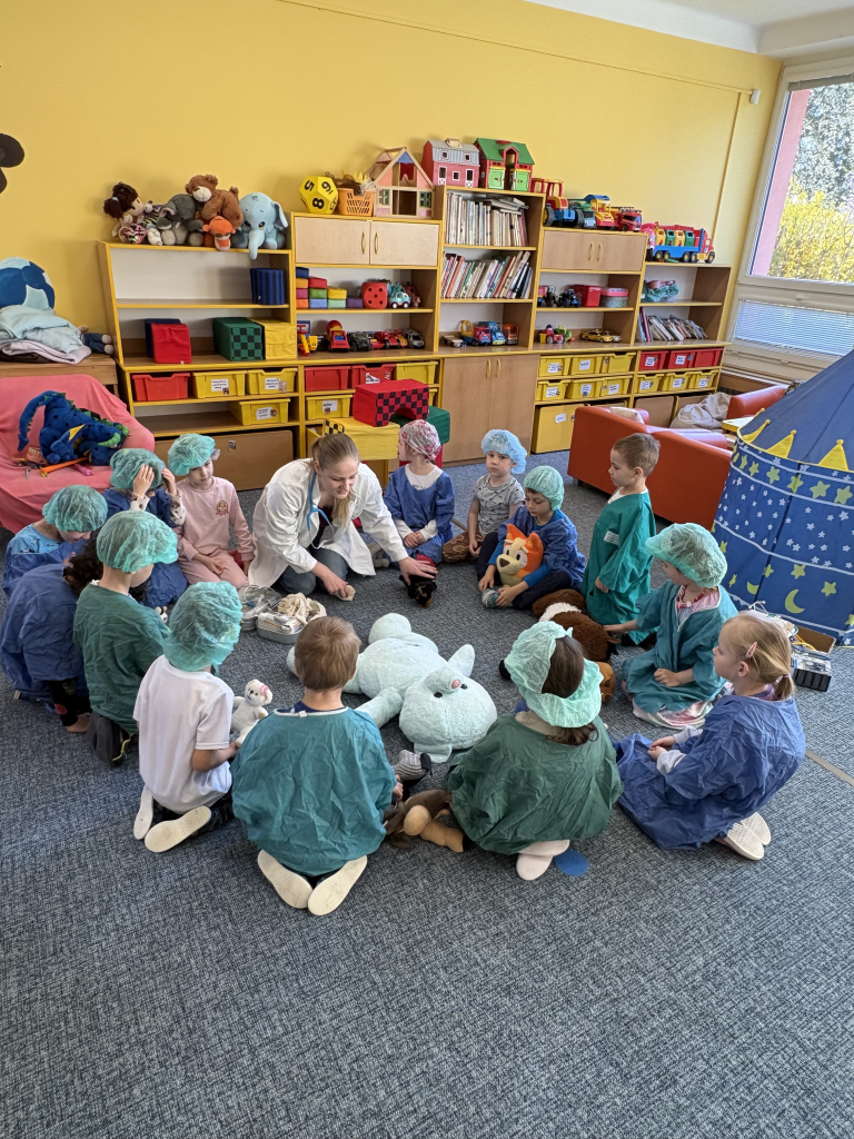 Nemocnice pro medvídky 