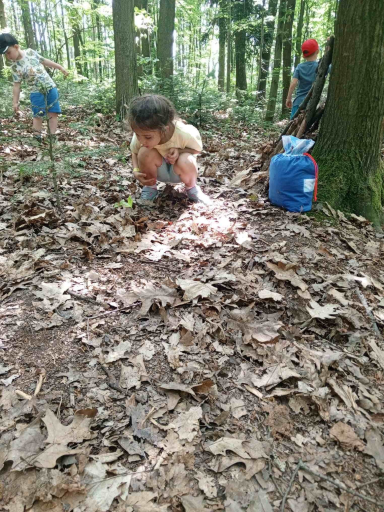 Výlet do lesa