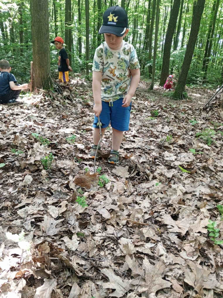 Výlet do lesa